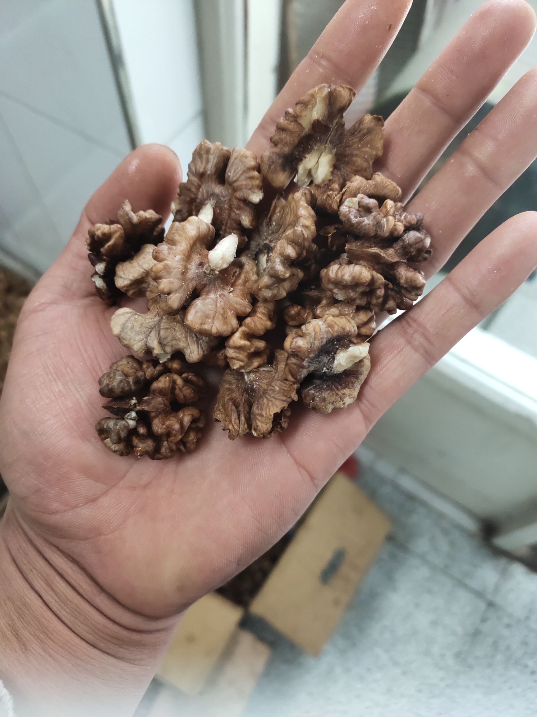 榨油核桃仁可直接食用，可榨油，可进食品厂 除外皮黑 其他无差