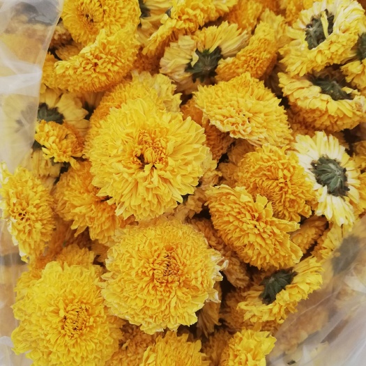 菊花茶 本品不能代替药物