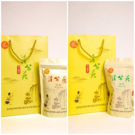 华阴市蒲公英茶 明前茶