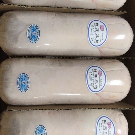 整头猪  冻乳猪，茶猪，冻乳猪