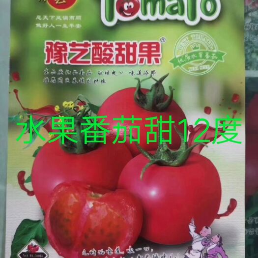 扶沟县豫艺酸甜果番茄种子~抗病性强糖度12度以上酸甜爽口高品质