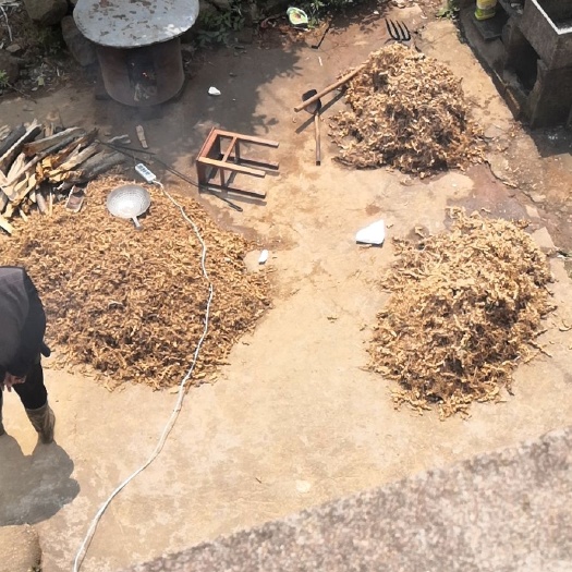 龙游县 黄精，都是家里爸妈去山上挖的，定期有货