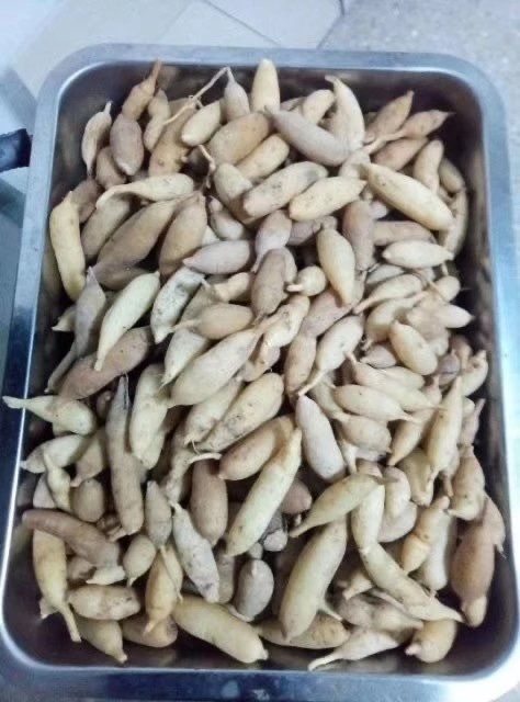 信宜市天冬 有大量鲜货和干货，价格便宜