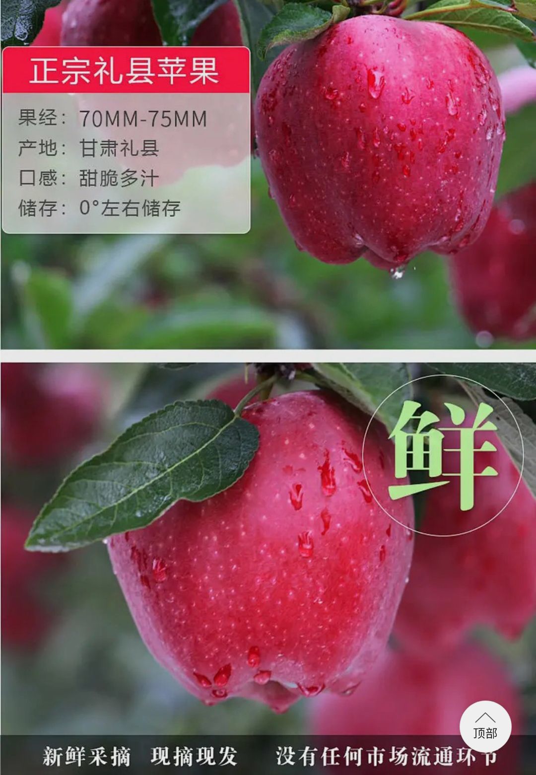  甘肃礼县花牛苹果新鲜采摘当季水果宝宝休闲辅食整箱包邮批