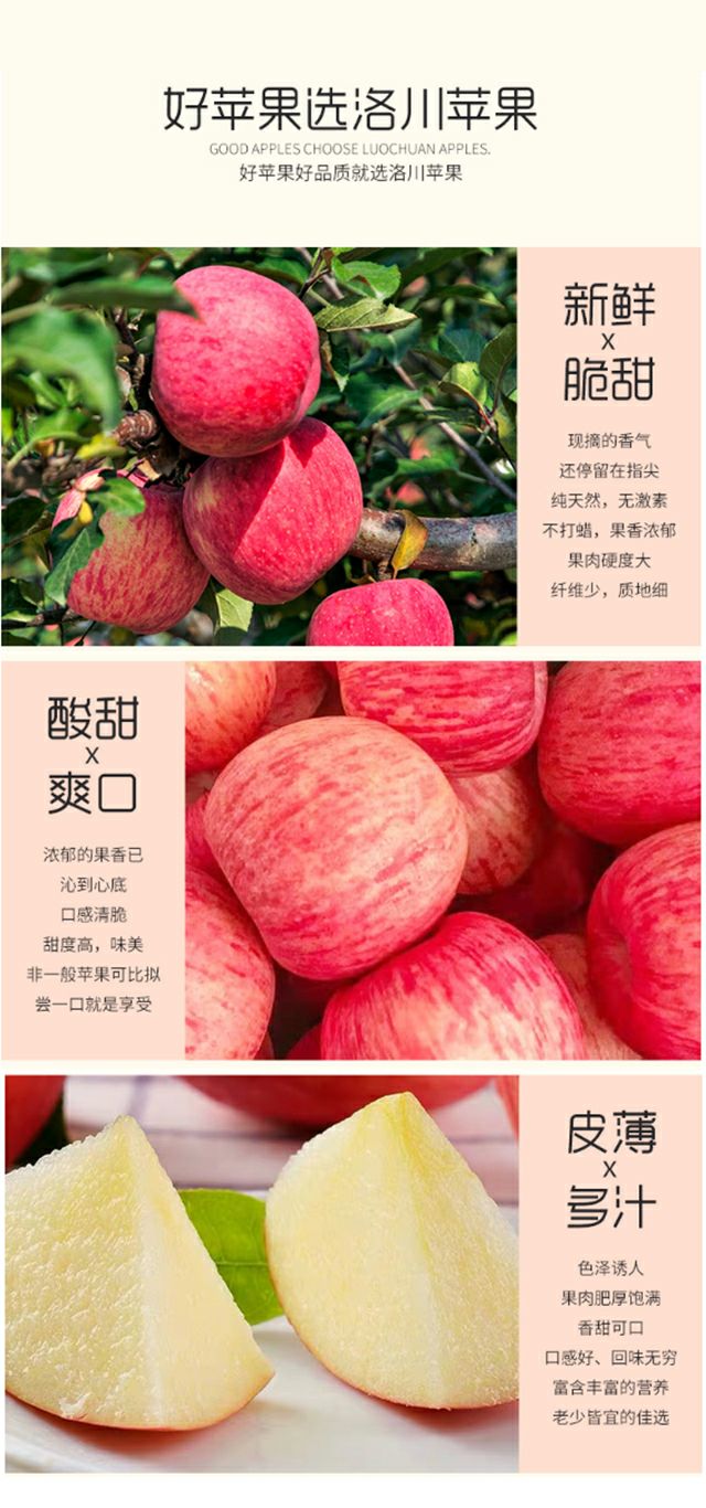  最美洛川苹果