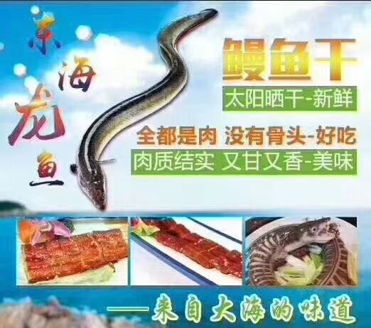 六角恐龙鱼 龙鱼