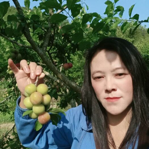 信宜市三华李   南华李，李子，孕妇李，酸酸脆脆的味道，适合大部分