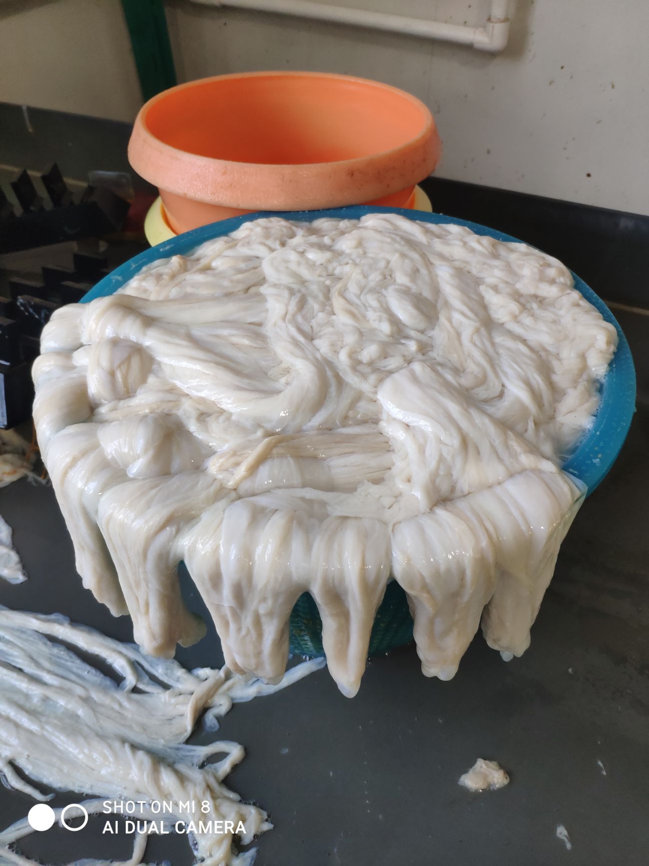 母猪猪肠衣 十路猪肠衣灌红肠 血肠 米肠 路猪肠衣