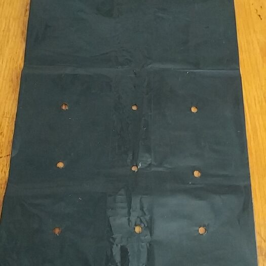 怀宁县育苗袋/育苗杯/容器袋 柑橘杯塑料育苗袋直径15，高度30，可定做