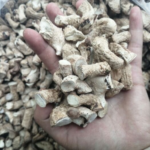 鲁山县 香菇丁