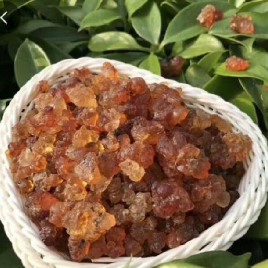 上海 一级桃胶