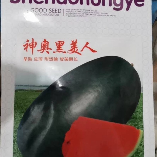 扶沟县黑美人西瓜种子 神奥黑美人~早熟果型端正瓤色大红含糖量14.