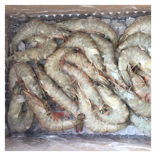 北京冷冻海鲜组合  批发 冷冻白虾 2kg/盒  优良水产新品 鲜嫩带头虾