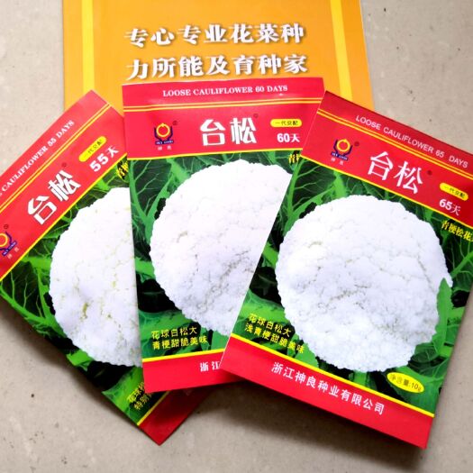 台松60天65天80天优质松花菜种子有机花菜种子