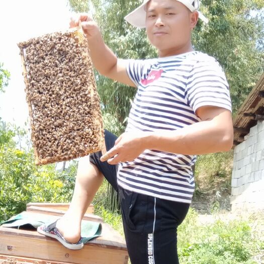 都匀市桔子花蜜 自产自销蜂产品