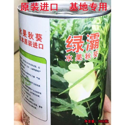 沭阳县绿灞水果秋葵种子原装7000粒一罐2亩地杂交品种口感好