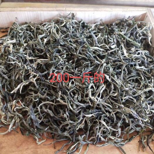 广南县 云南绿茶