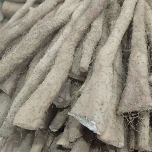 徐州温县铁棍山药 50~70cm