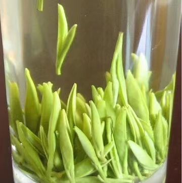 印江县 高山云雾健康绿茶