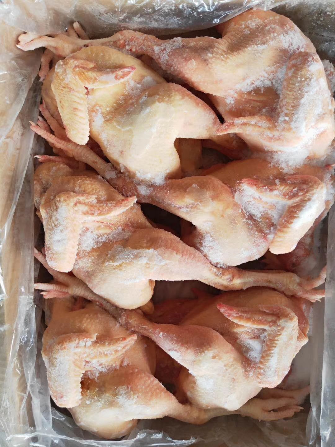 白条鸡 优质三黄鸡