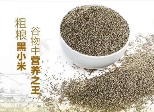  沂蒙山小米9元一斤