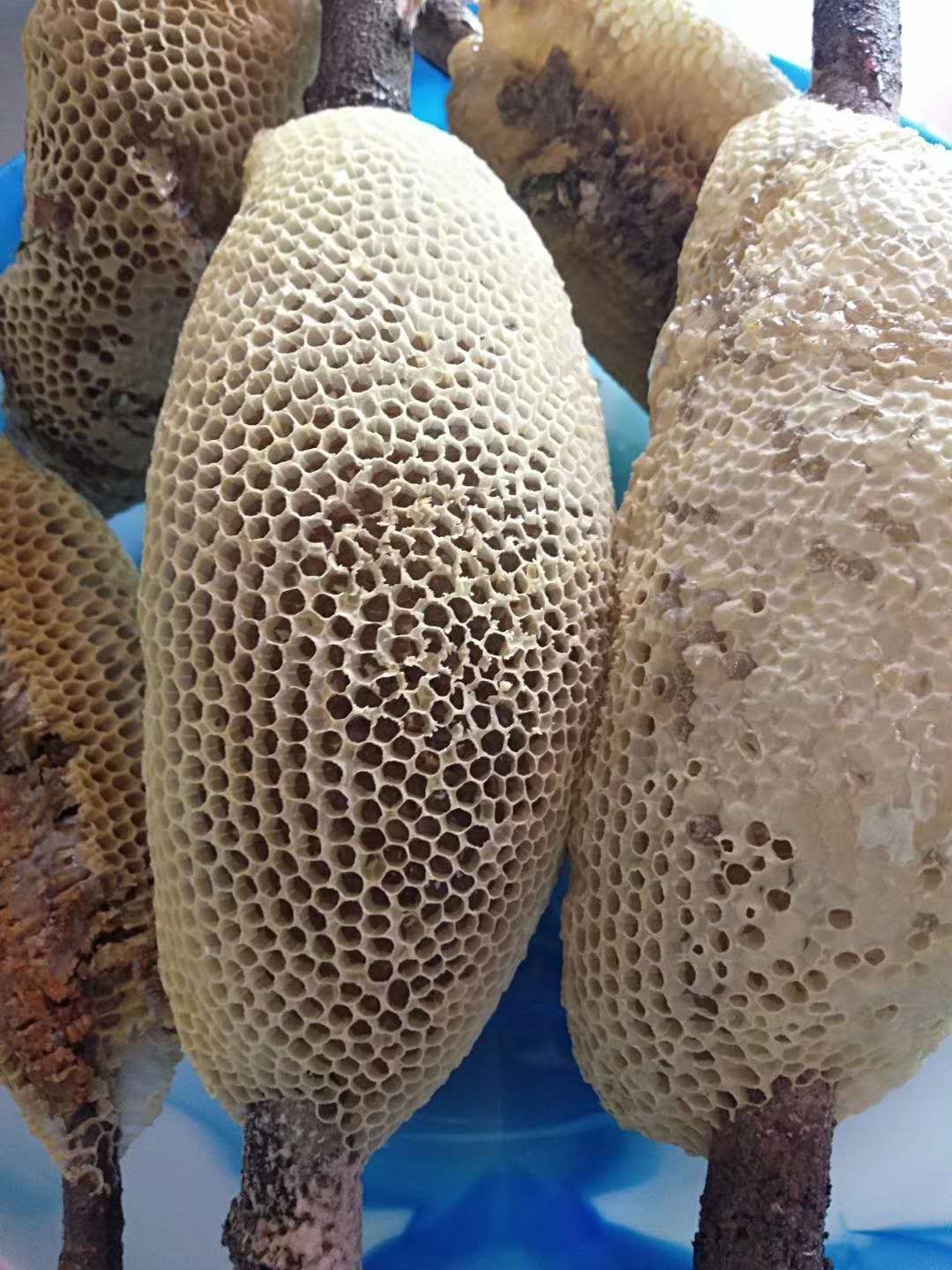 一千多的蜂蜜(100纯蜂蜜多少钱一斤,怎么分辨真假蜂蜜)