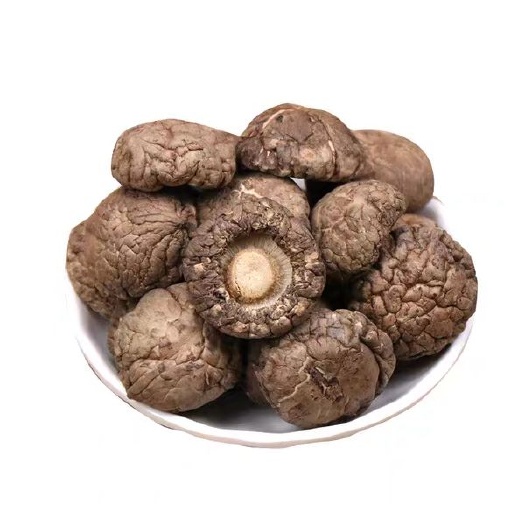 金钱菇 肉厚小香菇干货 非花菇 基地直销
