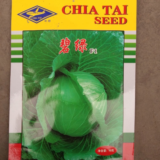 南充绿甘蓝种子 春种春收，春种夏收，夏种秋收