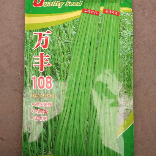 南充长豇豆 颜色翠绿，无鼠尾，条形好