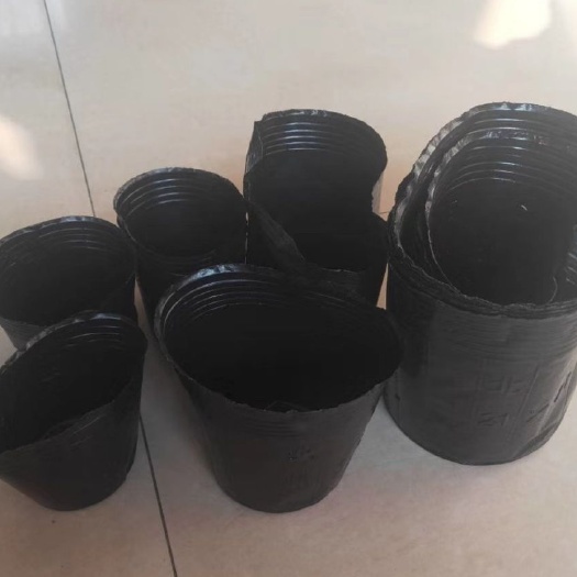 沭阳县塑料盆 荷花盆 盆栽荷花盆 盆栽荷花专用盆