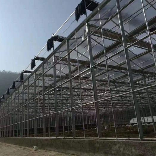 北京玻璃温室大棚 常年（收）（售）二手温室大棚