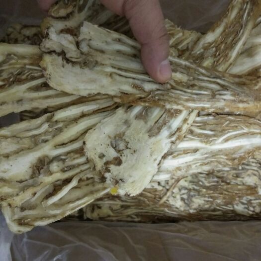 兰州 由于本人转行还剩新货4件多岷州当归手工芯片便宜处理