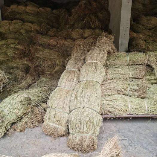 大竹县 苎麻