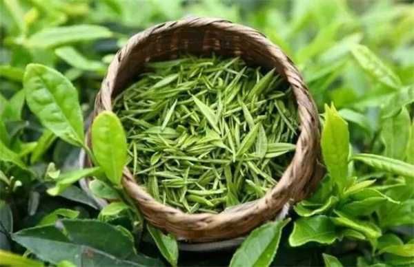 需要绿茶的看过来，自己生产的东西，没有任何添加，长期供应