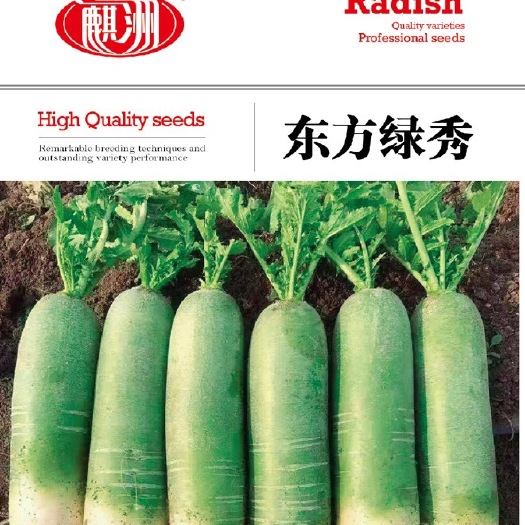 广饶县 高端水果萝卜种子