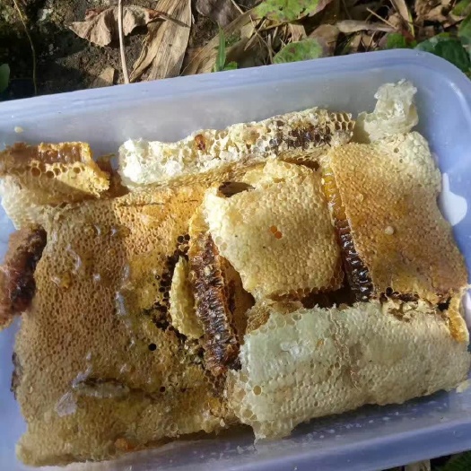 金秀县野生蜂蜜 ……