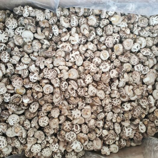 随县 花菇出口 精品花菇自种植不烧煤规格从3到8精分选