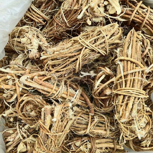 平南县 五指毛桃