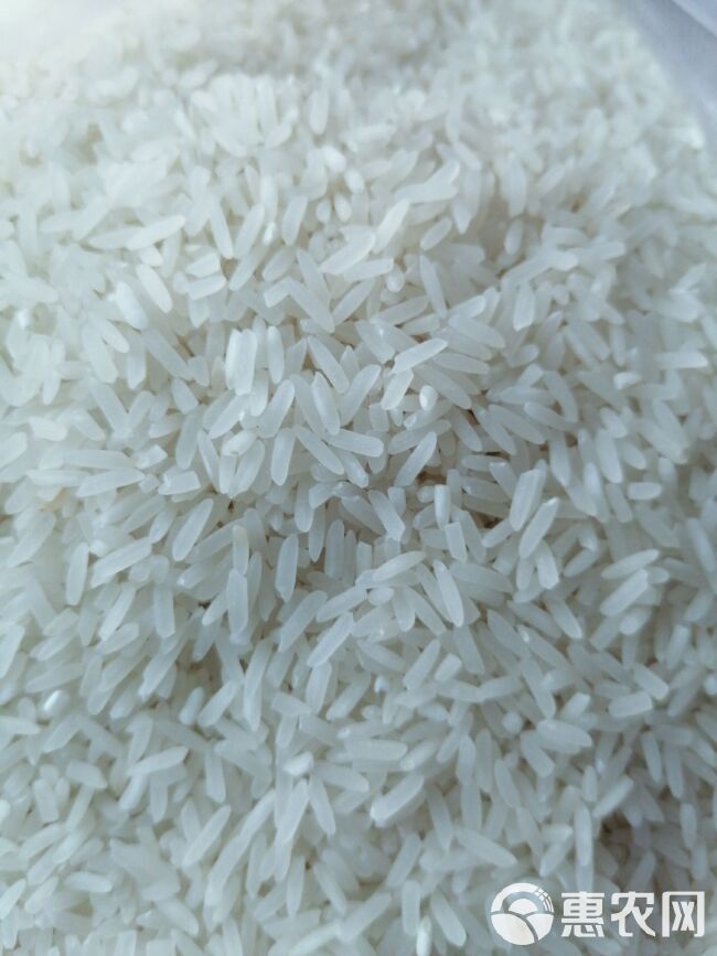 泰优390大米 一等品 晚稻 籼米