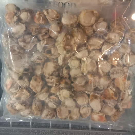 扬州冷冻扇贝肉 不泡水，不含冰，纯扇贝肉