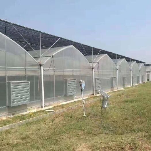 沭阳县 专业搭建温室养殖大棚，蔬菜棚子