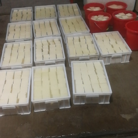 涿州市批发卤水豆腐。白豆腐炸豆腐。本厂可大量生产批发。本厂以一流