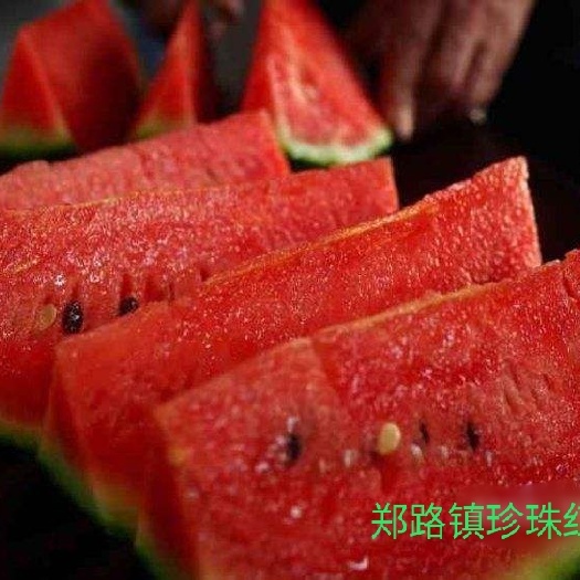 珍珠红西瓜:头茬五一之前