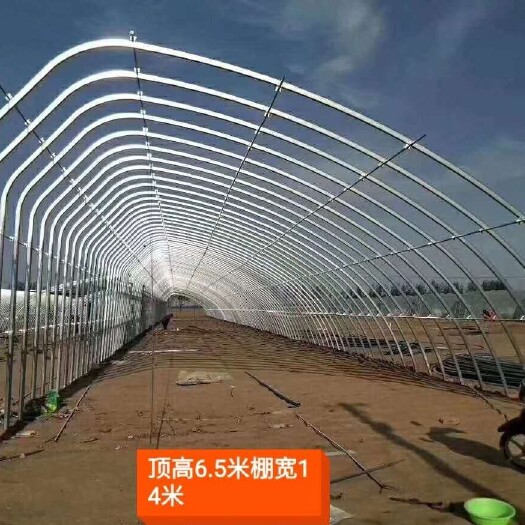 利津县蔬菜大棚