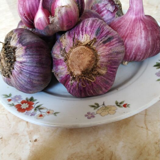 弥渡县 红皮紫皮大蒜干蒜