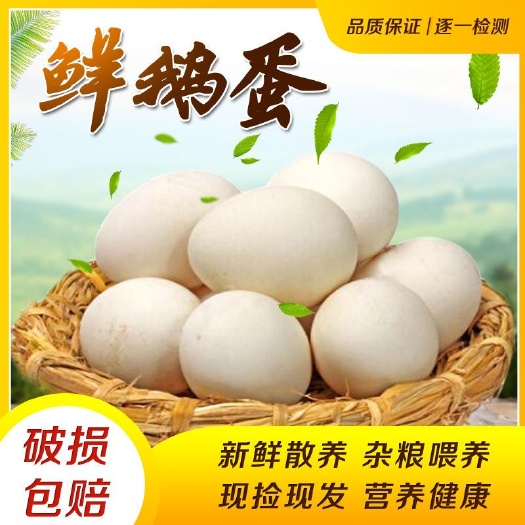 营口鲜鹅蛋 农村人自家散养的正宗处子鹅,喝辽河水食五谷杂粮,现捡现发