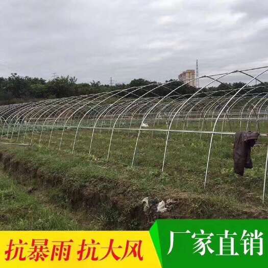 沭阳县育苗温室大棚