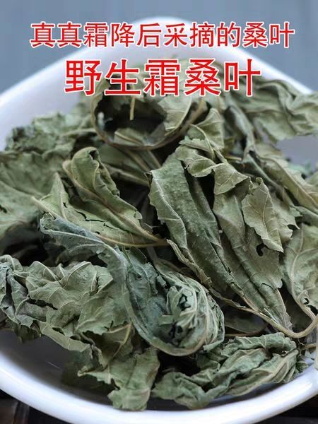 亳州 中药材干桑叶霜后桑叶