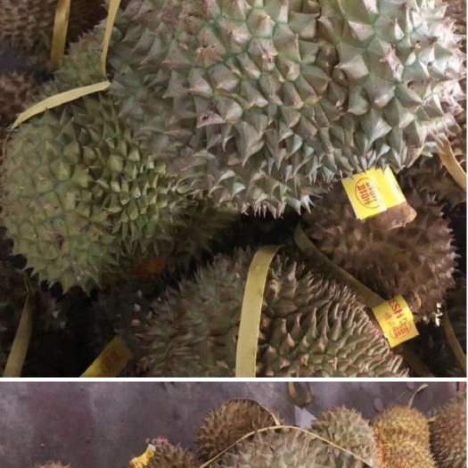 凭祥市泰国榴莲 广西发货，质量保证。