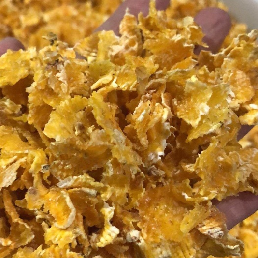 临清市玉米饼饲料